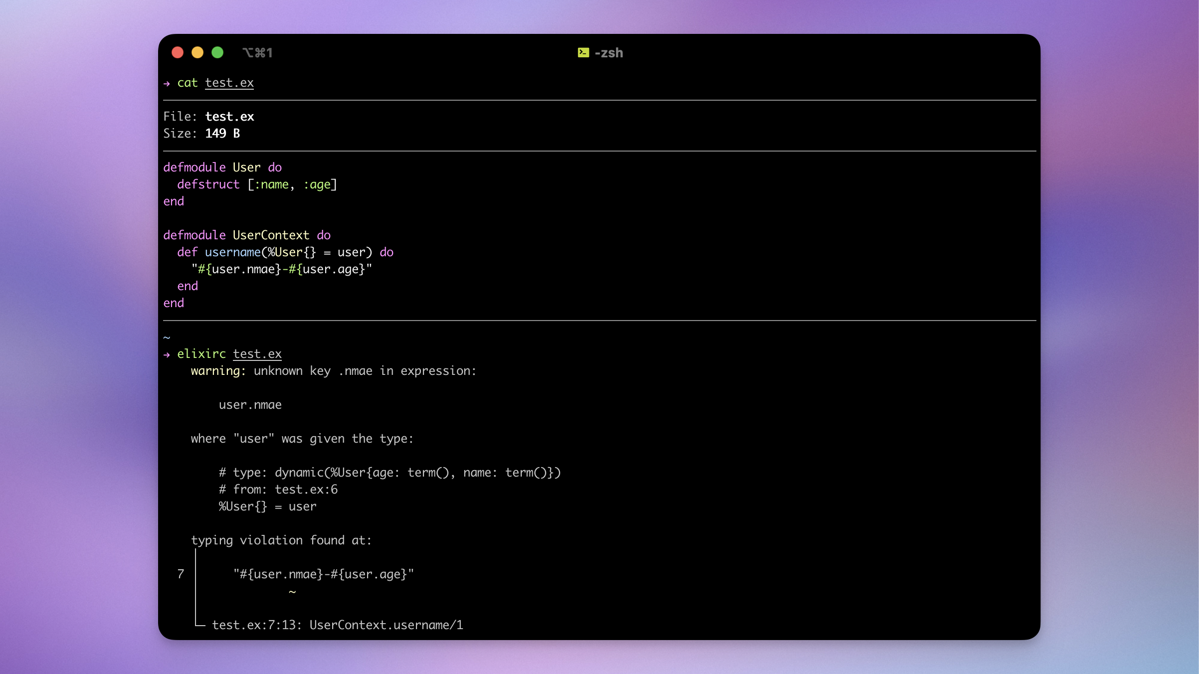 Example of a warning when accessing a mispelled struct field
